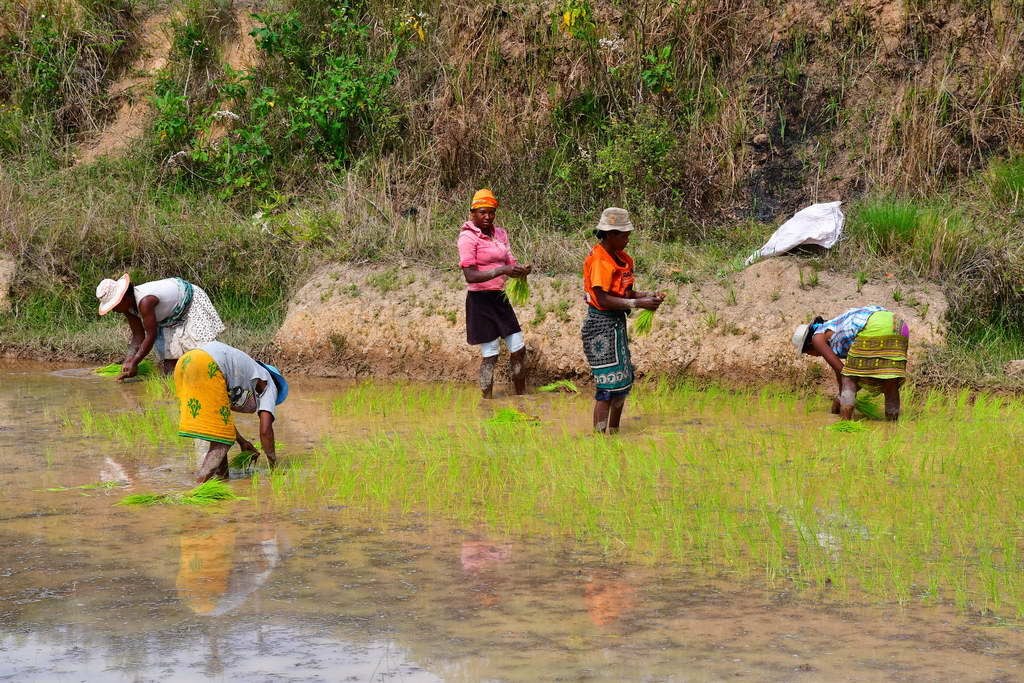 Ambositra Region
